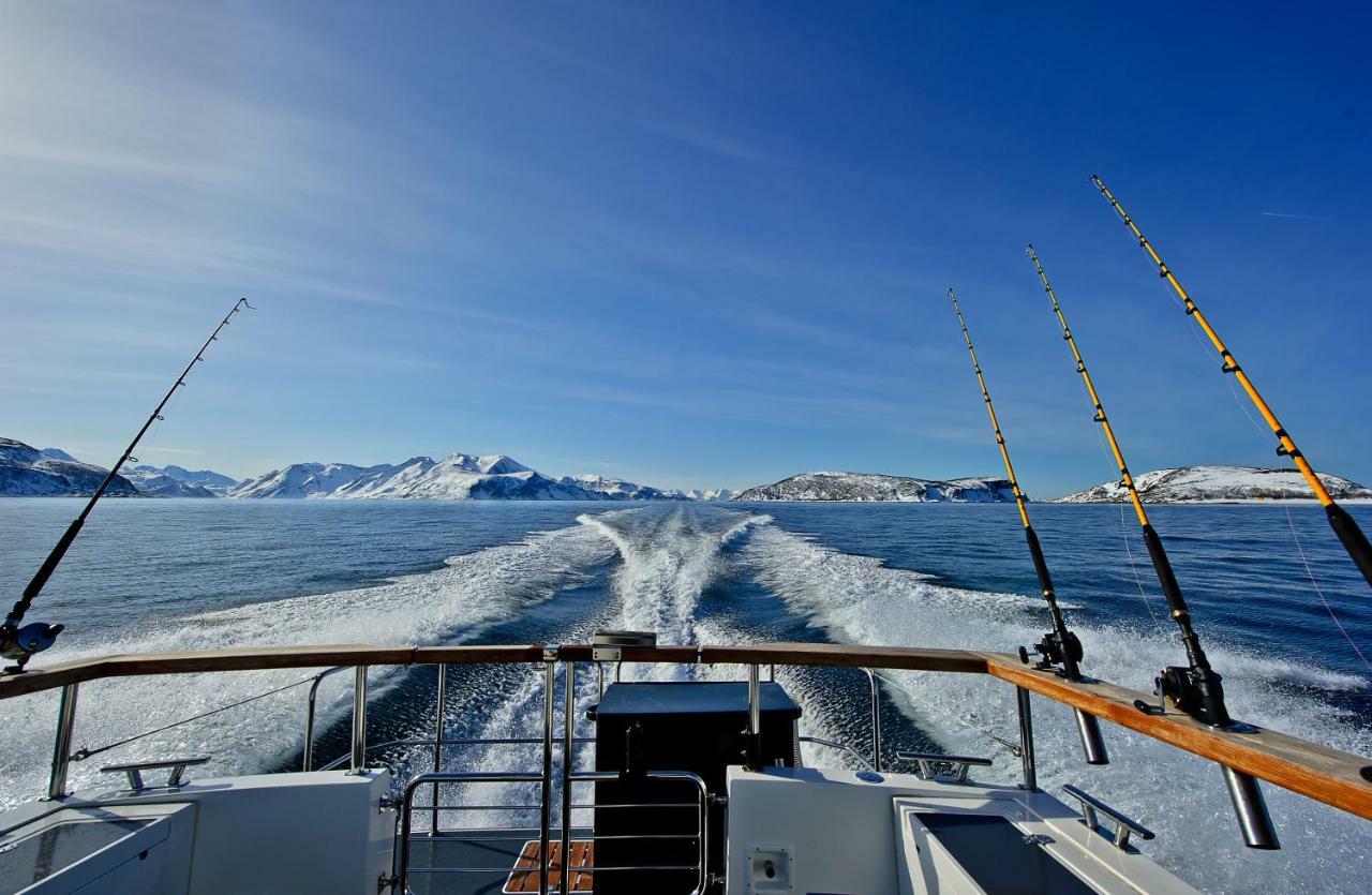 Lyngen Experience *
